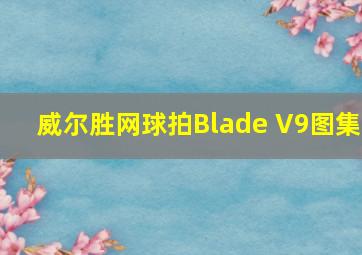 威尔胜网球拍Blade V9图集